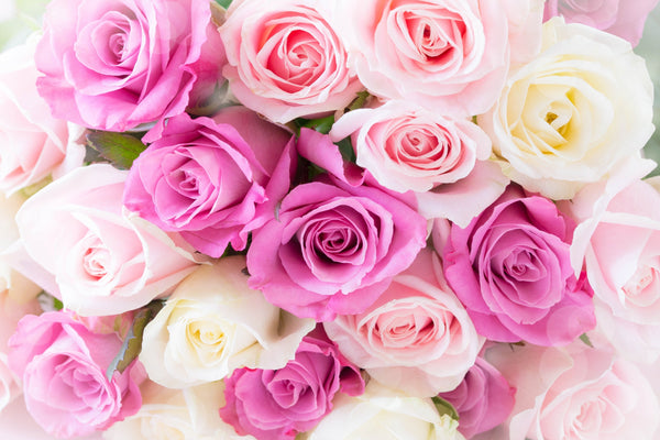 追加料金2,200円